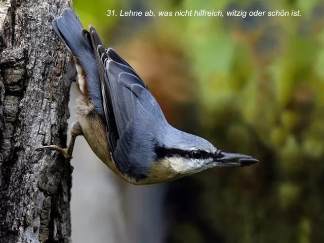 31. Lehne ab, was nicht hilfreich, witzig oder schön ist.