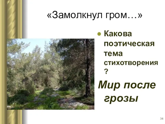 «Замолкнул гром…» Какова поэтическая тема стихотворения? Мир после грозы