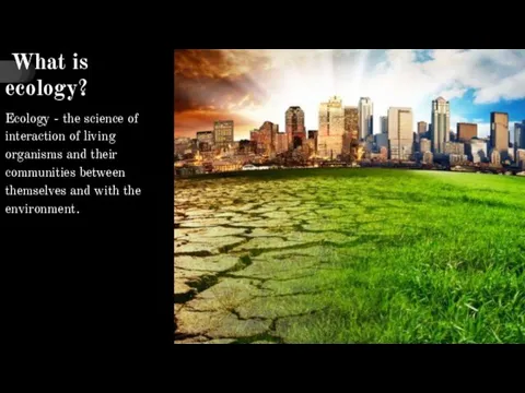 What is ecology? Ecology - the science of interaction of living