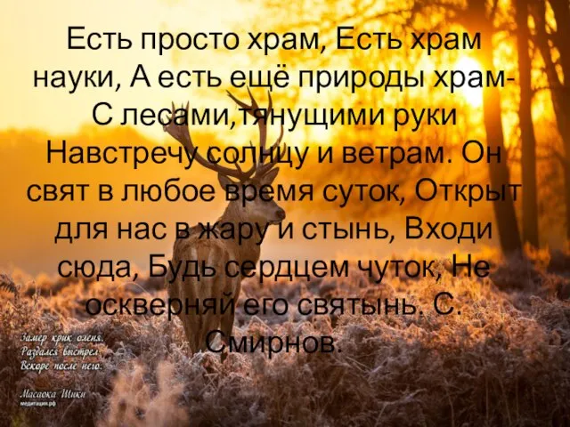 Есть просто храм, Есть храм науки, А есть ещё природы храм-