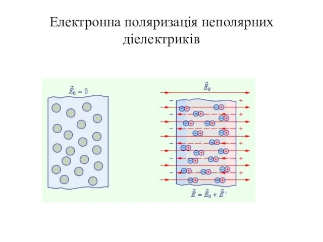 Електронна поляризація неполярних діелектриків
