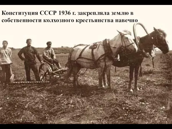 Конституция СССР 1936 г. закрепляла землю в собственности колхозного крестьянства навечно