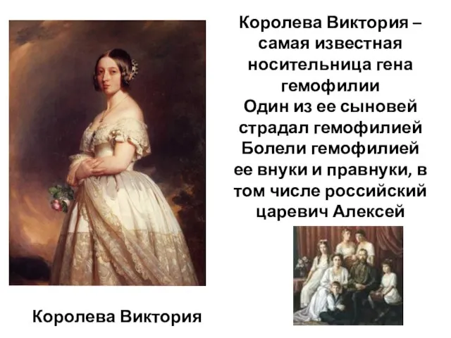 Королева Виктория Королева Виктория – самая известная носительница гена гемофилии Один