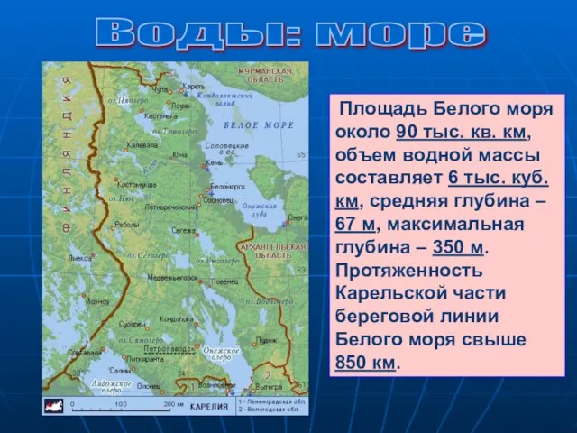 Воды: море Площадь Белого моря около 90 тыс. кв. км, объем