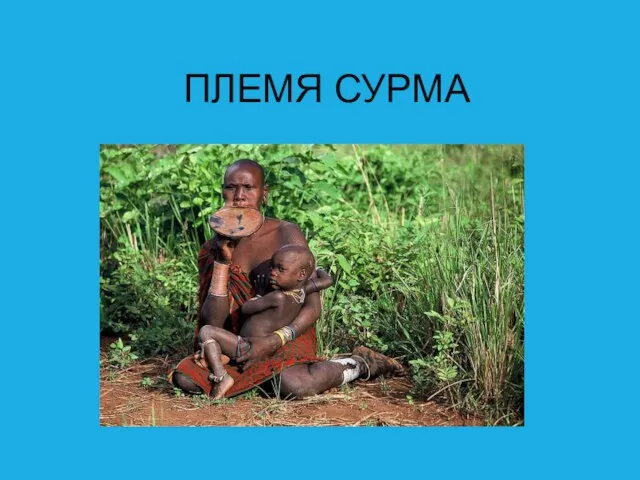 ПЛЕМЯ СУРМА