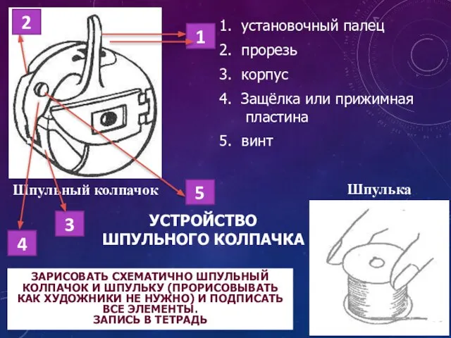 Шпульный колпачок Шпулька 1. установочный палец 2. прорезь 3. корпус 4.