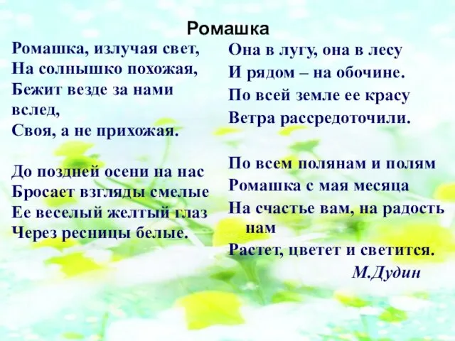 Ромашка Ромашка, излучая свет, На солнышко похожая, Бежит везде за нами