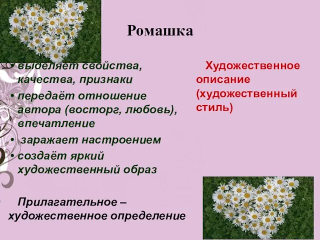 Ромашка выделяет свойства, качества, признаки передаёт отношение автора (восторг, любовь), впечатление