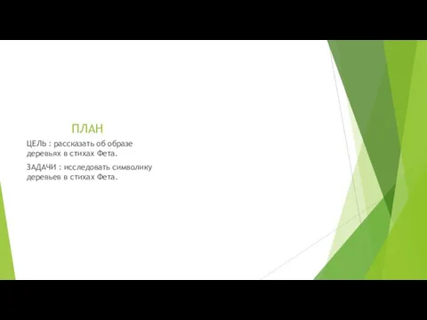 ПЛАН ЦЕЛЬ : рассказать об образе деревьях в стихах Фета. ЗАДАЧИ