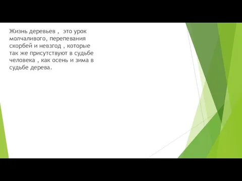 Жизнь деревьев , это урок молчаливого, перепевания скорбей и невзгод ,