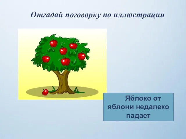 Отгадай поговорку по иллюстрации Яблоко от яблони недалеко падает