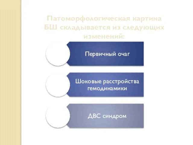 Патоморфологическая картина БШ складывается из следующих изменений: