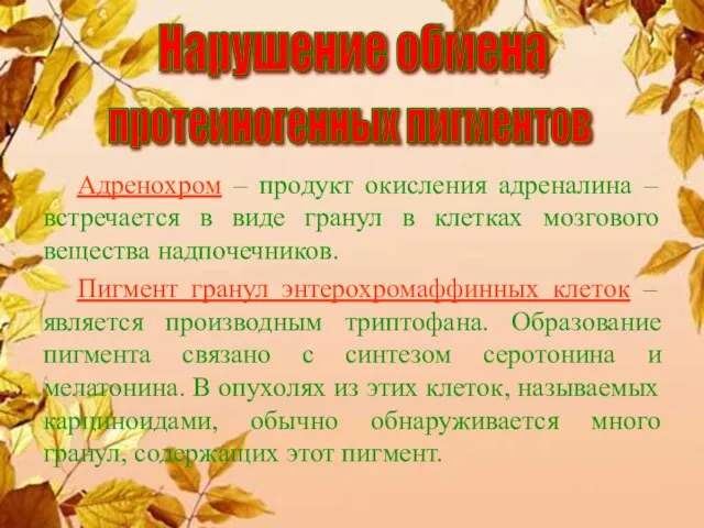 Адренохром – продукт окисления адреналина – встречается в виде гранул в