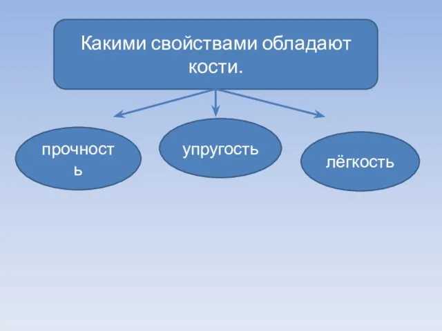 Какими свойствами обладают кости. прочность упругость лёгкость