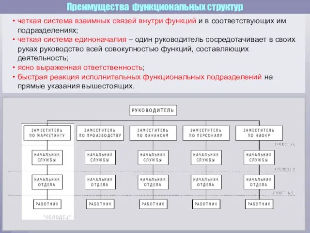 Преимущества функциональных структур четкая система взаимных связей внутри функций и в