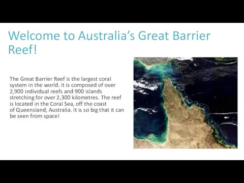 Welcome to Australia’s Great Barrier Reef! The Great Barrier Reef is