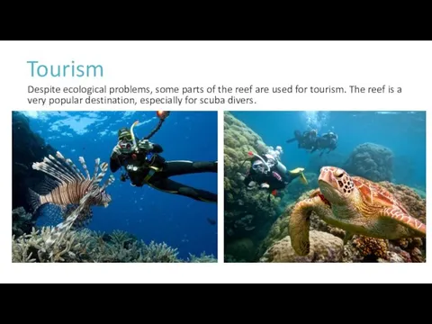 Tourism Despite ecological problems, some parts of the reef are used