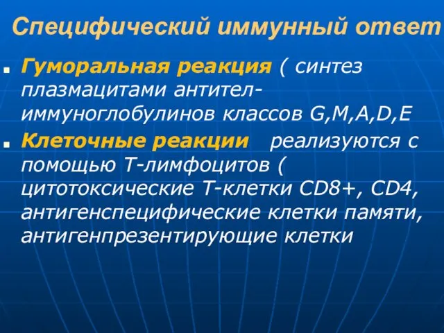 Специфический иммунный ответ Гуморальная реакция ( синтез плазмацитами антител- иммуноглобулинов классов