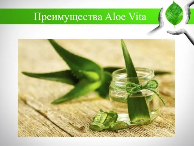 Преимущества Aloe Vita