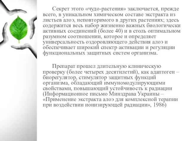 Секрет этого «чудо-растения» заключается, прежде всего, в уникальном химическом составе экстракта