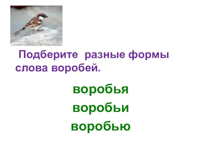 Подберите разные формы слова воробей. воробья воробьи воробью