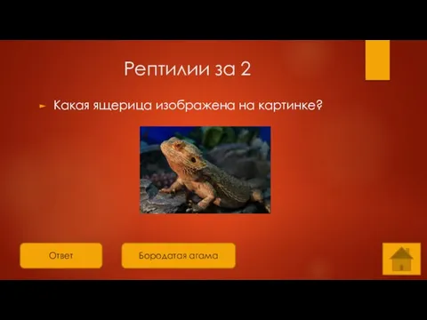 Ответ Рептилии за 2 Какая ящерица изображена на картинке? Бородатая агама