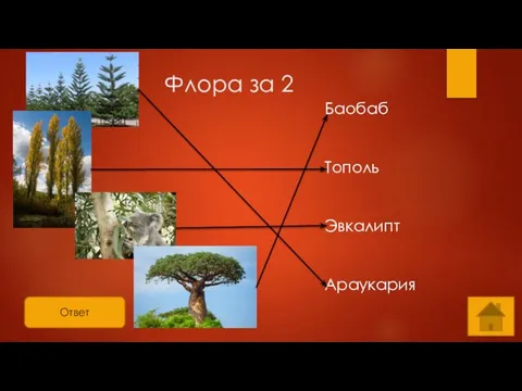 Ответ Флора за 2 Баобаб Тополь Эвкалипт Араукария