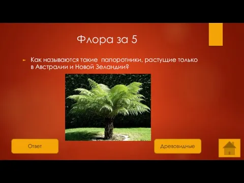 Ответ Флора за 5 Как называются такие папоротники, растущие только в Австралии и Новой Зеландии? Древовидные