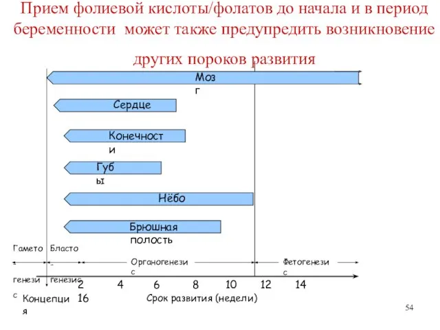 Прием фолиевой кислоты/фолатов до начала и в период беременности может также