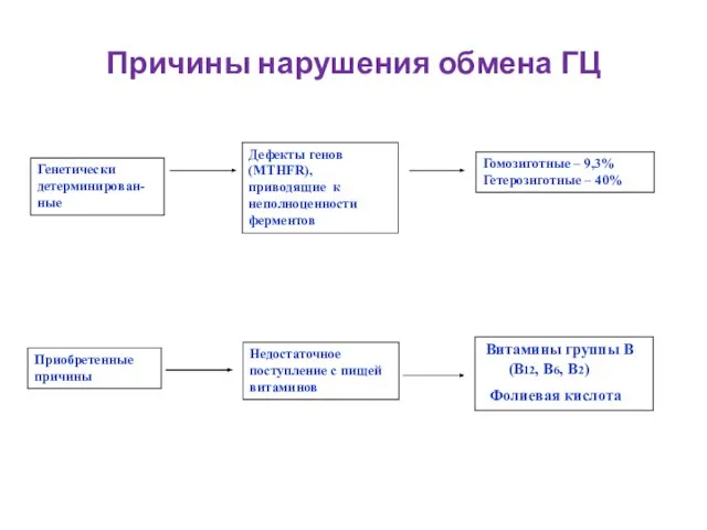 Причины нарушения обмена ГЦ Витамины группы В (В12, В6, В2) Фолиевая