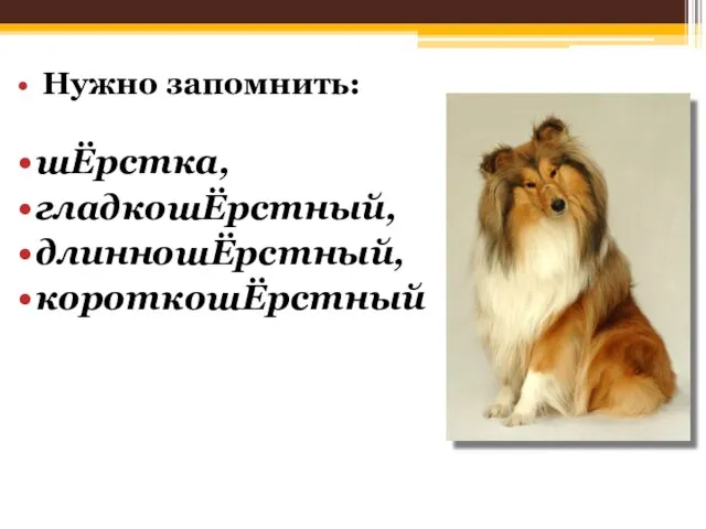 Нужно запомнить: шЁрстка, гладкошЁрстный, длинношЁрстный, короткошЁрстный