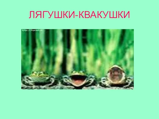 ЛЯГУШКИ-КВАКУШКИ