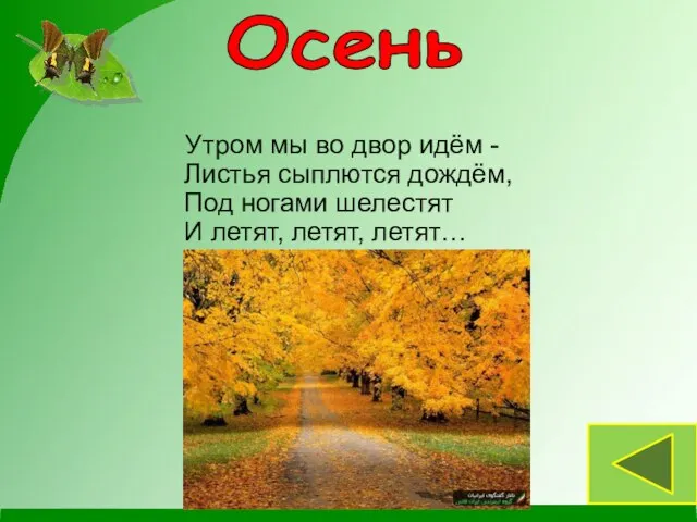 Утром мы во двор идём - Листья сыплются дождём, Под ногами