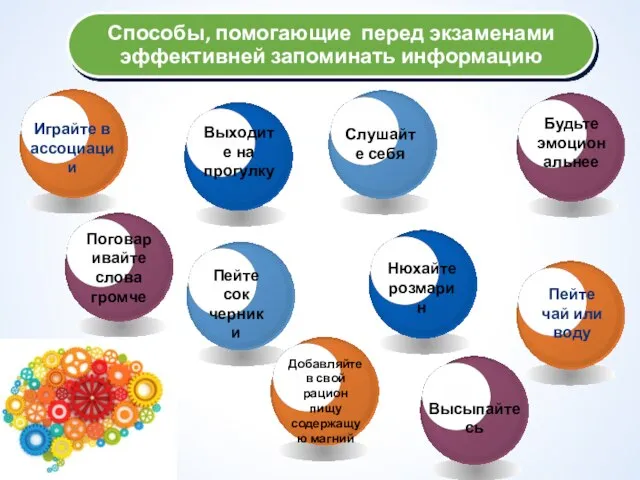 Способы, помогающие перед экзаменами эффективней запоминать информацию