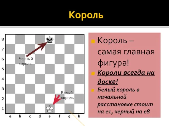 Король Король – самая главная фигура! Короли всегда на доске! Белый