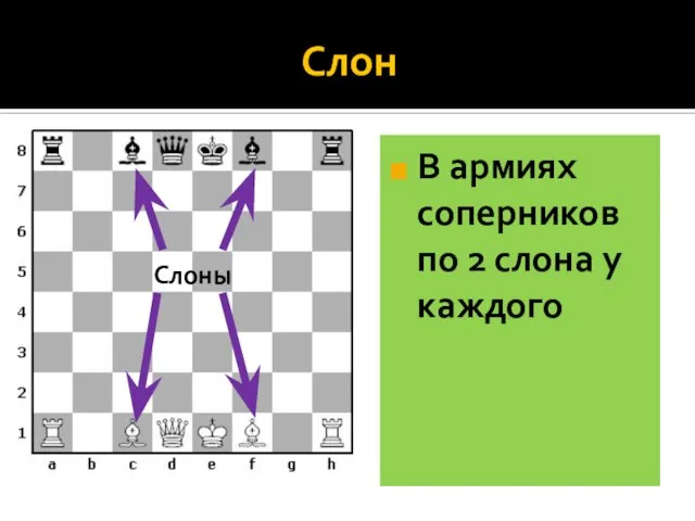 Слон В армиях соперников по 2 слона у каждого Слоны