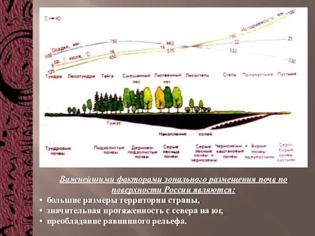 Важнейшими факторами зонального размещения почв по поверхности России являются: большие размеры