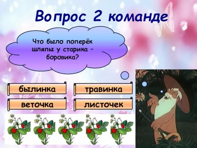 Что было поперёк шляпы у старика – боровика? былинка веточка листочек травинка Вопрос 2 команде