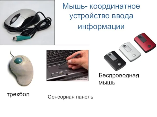 трекбол Беспроводная мышь Мышь- координатное устройство ввода информации Сенсорная панель