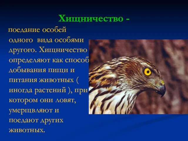 Хищничество - поедание особей одного вида особями другого. Хищничество определяют как