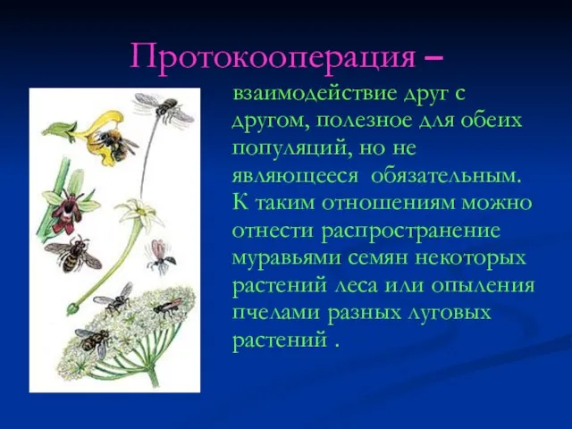 Протокооперация – взаимодействие друг с другом, полезное для обеих популяций, но