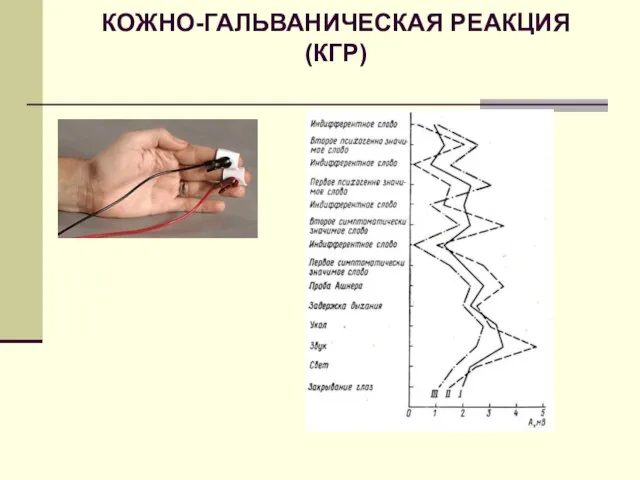 КОЖНО-ГАЛЬВАНИЧЕСКАЯ РЕАКЦИЯ (КГР)