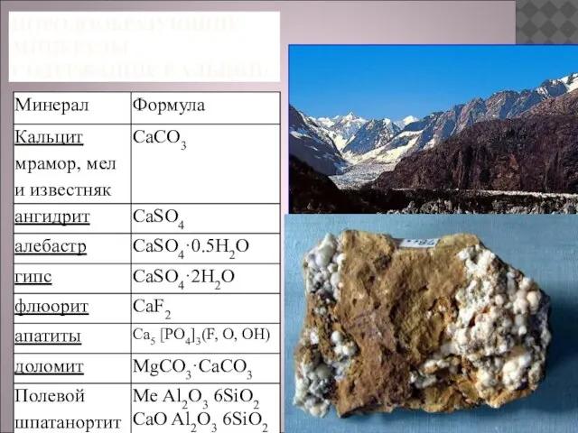 ПОРОДООБРАЗУЮЩИЕ МИНЕРАЛЫ СОДЕРЖАЩИЕ КАЛЬЦИЙ: