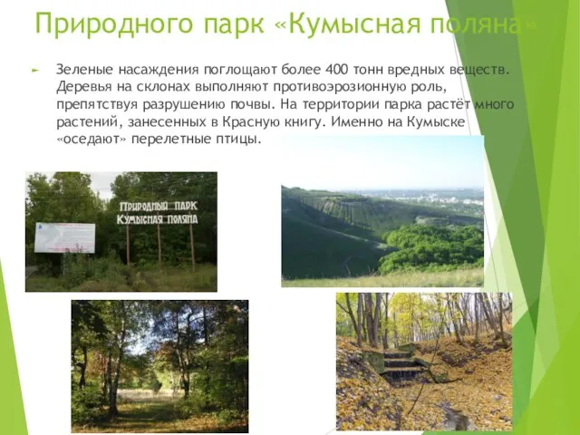 Природного парк «Кумысная поляна» Зеленые насаждения поглощают более 400 тонн вредных