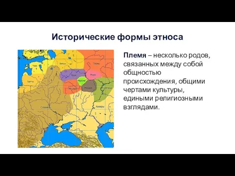 Исторические формы этноса Племя – несколько родов, связанных между собой общностью