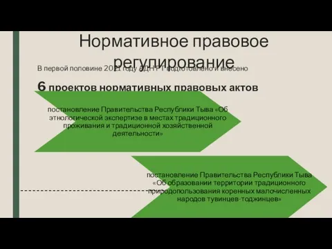 Нормативное правовое регулирование В первой половине 2021 году АДН РТ подготовлено