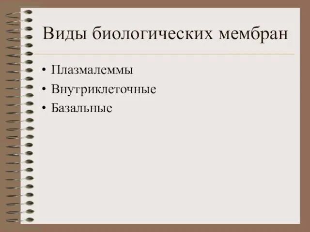 Виды биологических мембран Плазмалеммы Внутриклеточные Базальные