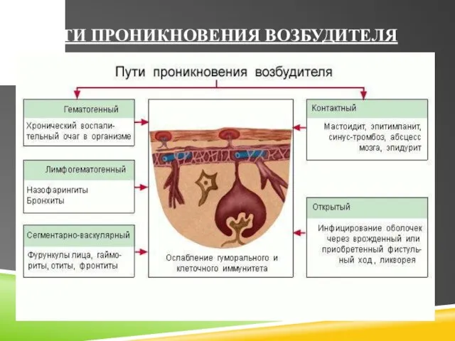 ПУТИ ПРОНИКНОВЕНИЯ ВОЗБУДИТЕЛЯ