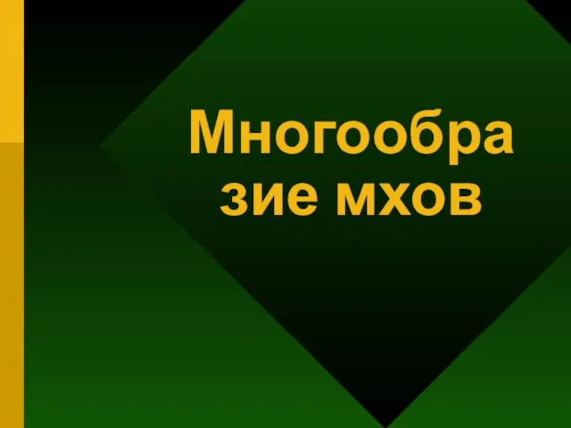 Многообразие мхов