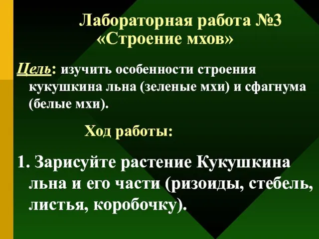 Лабораторная работа №3 «Строение мхов» Цель: изучить особенности строения кукушкина льна